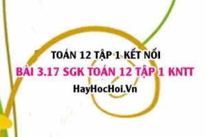 Bài 3.17 SGK Toán 12 tập 1 Kết nối tri thức